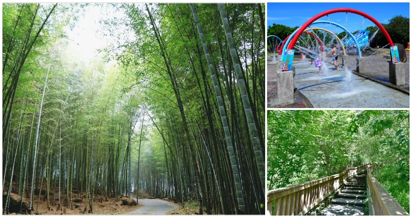 南投景點避暑7大推薦！森林系步道 99元親子玩水景點，暑假消暑跟著玩。