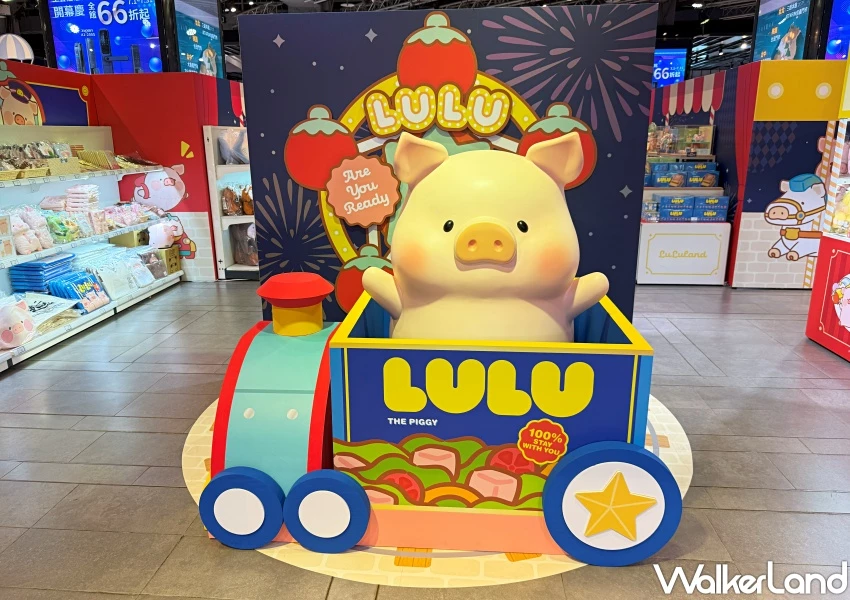 豬豬