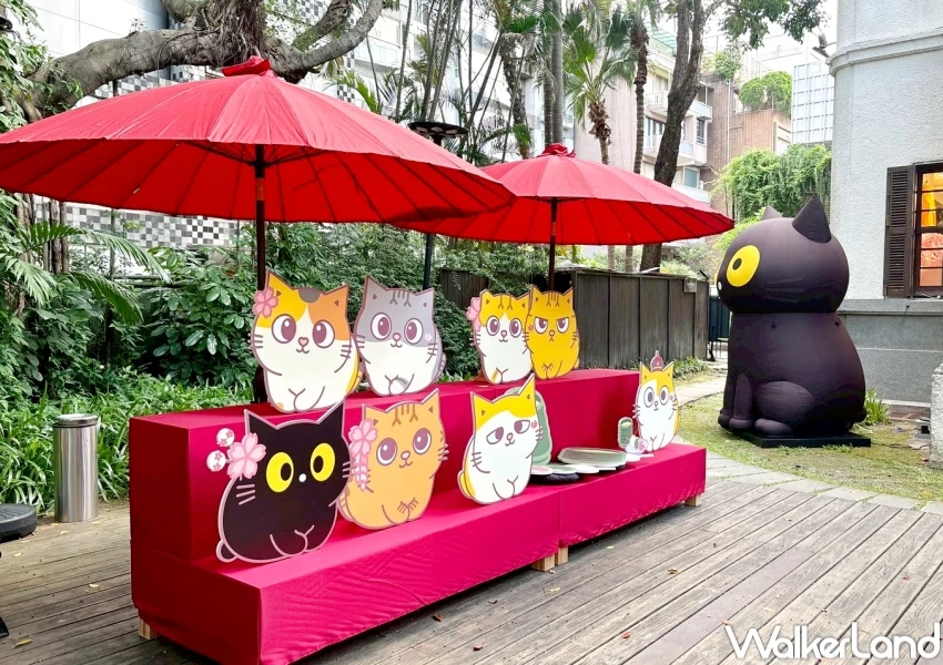 黃阿瑪中山站快閃店！黃阿瑪植感生活快閃店，庭園打卡點 阿瑪貓貓鬆餅必衝。