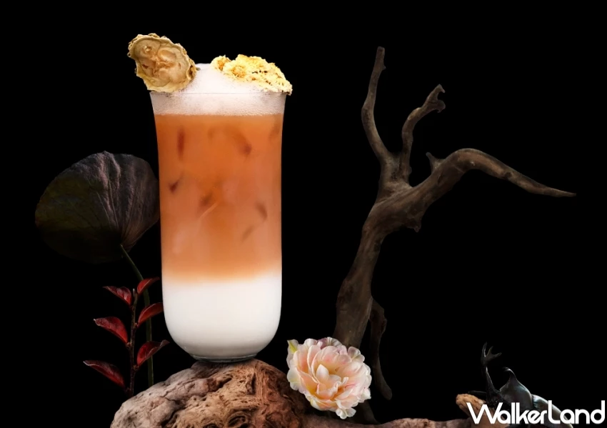 草本奶茶買一送一!台北新飲料小仙島漢方茶飲,田馥甄喝過的香料奶茶必朝聖。 草本奶茶買一送一!台北新飲料小仙島漢方茶飲,田馥甄喝過的香料奶茶必朝聖。