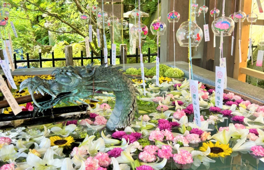 日本最美風鈴祭!岐阜縣飛驒高山櫻山八幡宮風鈴季來了,免費入場欣賞2000個風鈴。 日本最美風鈴祭!岐阜縣飛驒高山櫻山八幡宮風鈴季來了,免費入場欣賞2000個風鈴。