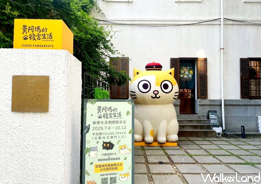 黃阿瑪中山站快閃店！黃阿瑪植感生活快閃店，庭園打卡點 阿瑪貓貓鬆餅必衝。