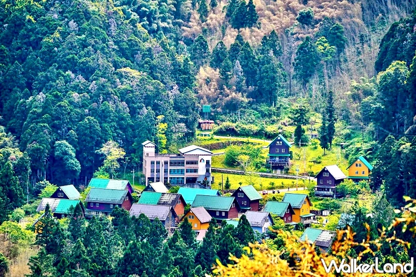 暑假親子旅遊必訪！阿里山賓館部落探險住房專案，帶你走進得恩亞納與冠軍茶園。