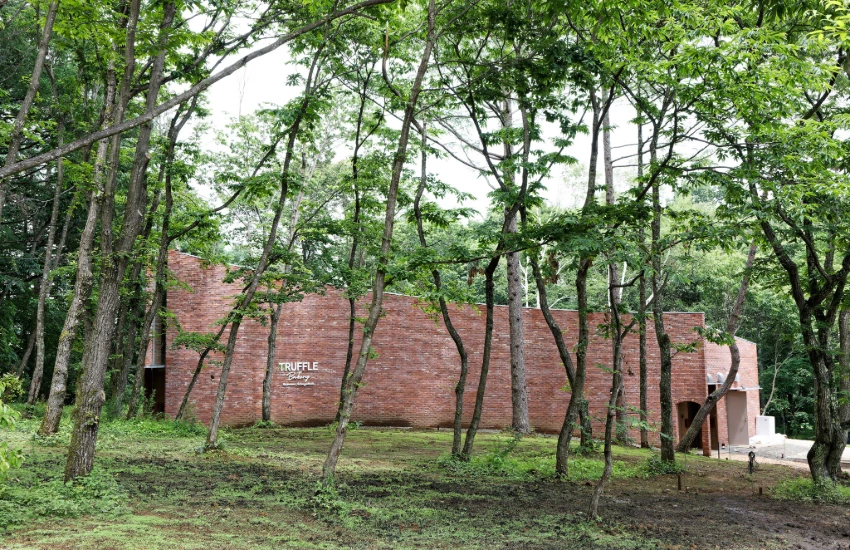 日本超人氣麵包店結合研發室、烘焙坊、咖啡廳於一體，複合型設施插旗山梨南八岳。