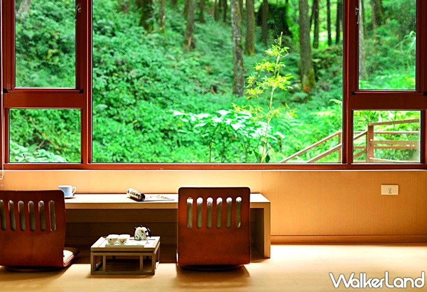 暑假親子旅遊必訪！阿里山賓館部落探險住房專案，帶你走進得恩亞納與冠軍茶園。