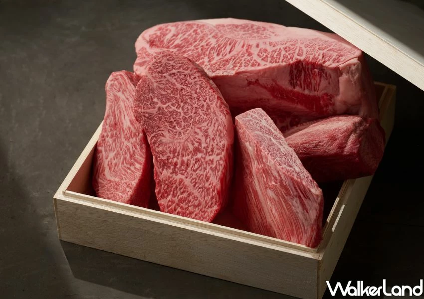 信義區午餐推薦!板前中山1880元午間A5和牛燒肉套餐,叫老闆請客。