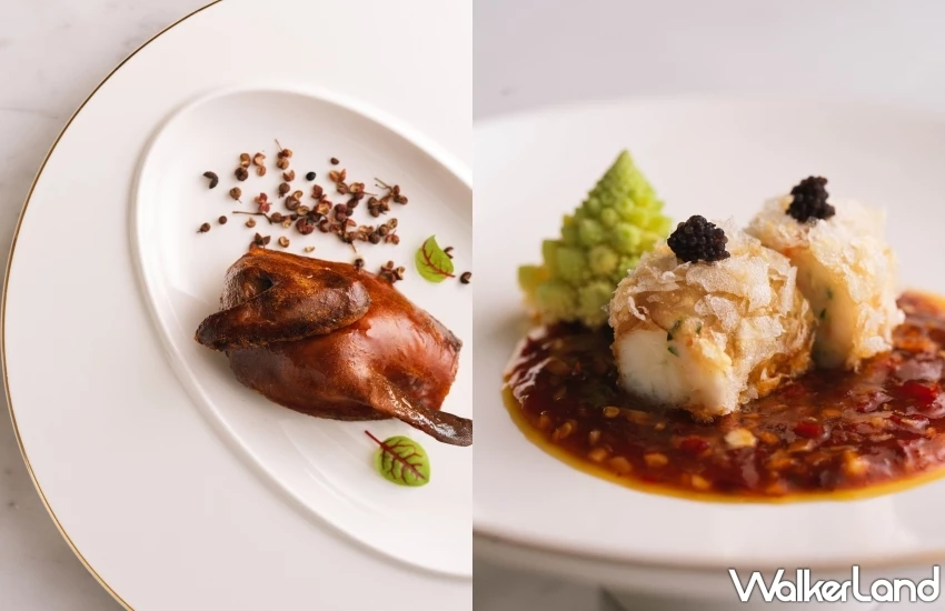 走進高空裡的四川官府宴！川雅24味型現代官府川菜新菜單，46樓上吃到正統川菜。