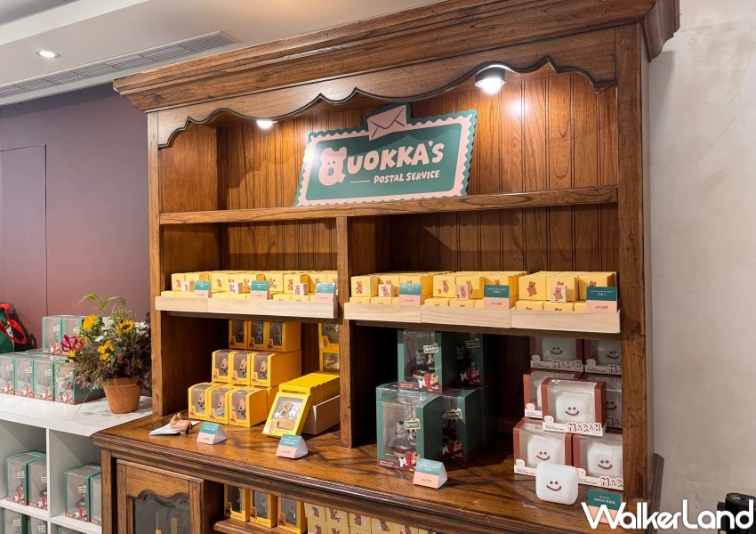 矮袋鼠快閃店!AIPXA中山站快閃店,DINOTAENG郵差系列 GD貓Zoa接續快閃。 矮袋鼠快閃店!AIPXA中山站快閃店,DINOTAENG郵差系列 GD貓Zoa接續快閃。