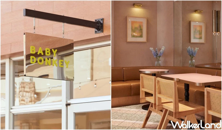 桃園早午餐新歡！BABY DONKEY 野驢兒全天早午餐開吃，鬆餅香蕉 雞胸貝果吃爆。