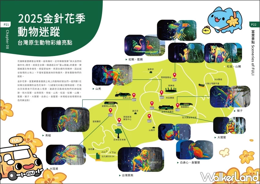 2025花蓮金針花季開跑!六十石山、赤科山看金色花海,玉里、富里順遊。 / 花蓮縣政府 提供、WalkerLand窩客島整理 2025花蓮金針花季開跑!六十石山、赤科山看金色花海,玉里、富里順遊。 / 花蓮縣政府 提供、WalkerLand窩客島整理