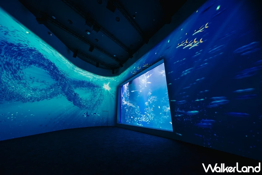 台中海洋館試營運攻略！線上預約制分流參觀，全票種8折優惠與飲品第二杯半價資訊總整理。