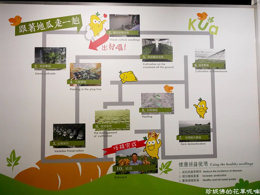 台南必去5大觀光工廠景點!把握暑假尾聲,一次收藏起來。 台南必去5大觀光工廠景點!把握暑假尾聲,一次收藏起來。