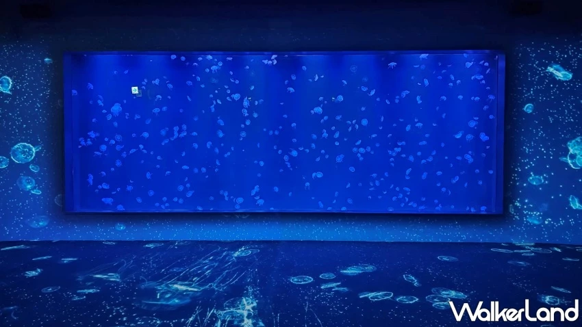 台中海洋館試營運！8大展區參觀路線公開，2小時沉浸式體驗海洋世界。