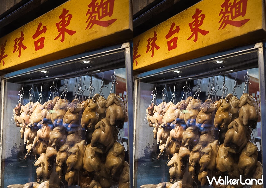 基隆必吃雞肉飯便當!美珠土雞 土雞瀑布超浮誇,在地人都吃這間。 基隆必吃雞肉飯便當!美珠土雞 土雞瀑布超浮誇,在地人都吃這間。