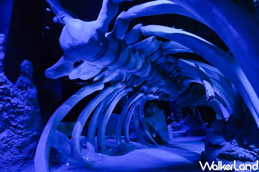 新加坡聖淘沙名勝世界5大必玩亮點!海洋生態館水母缸、餵魟魚,新加坡新飯店、新商場加碼推薦。 新加坡聖淘沙名勝世界5大必玩亮點!海洋生態館水母缸、餵魟魚,新加坡新飯店、新商場加碼推薦。