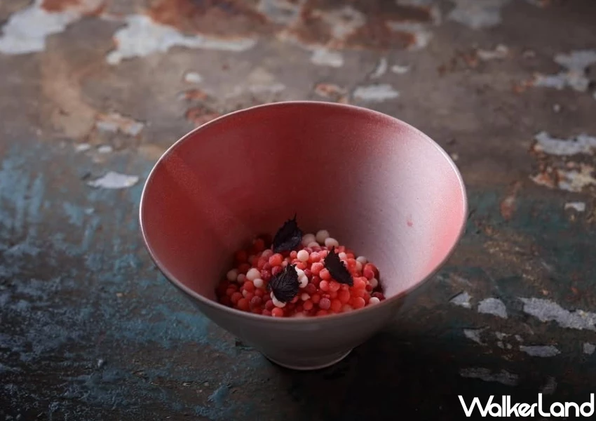 2025台灣米其林4間餐廳掉星！台南 新北 新竹摘星失敗，網友慶幸隱藏美食沒被公開。