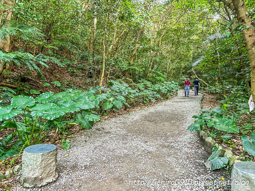 台北自然系約會景點推薦！河岸散步、登山夜景、同心水池，不花錢也很浪漫。 / 部落客「小風o」提供