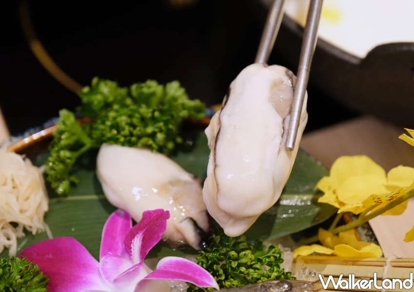 永和火鍋吃到飽339元！鮮牧火鍋永和開到凌晨1點，水豚牛奶鍋必點。