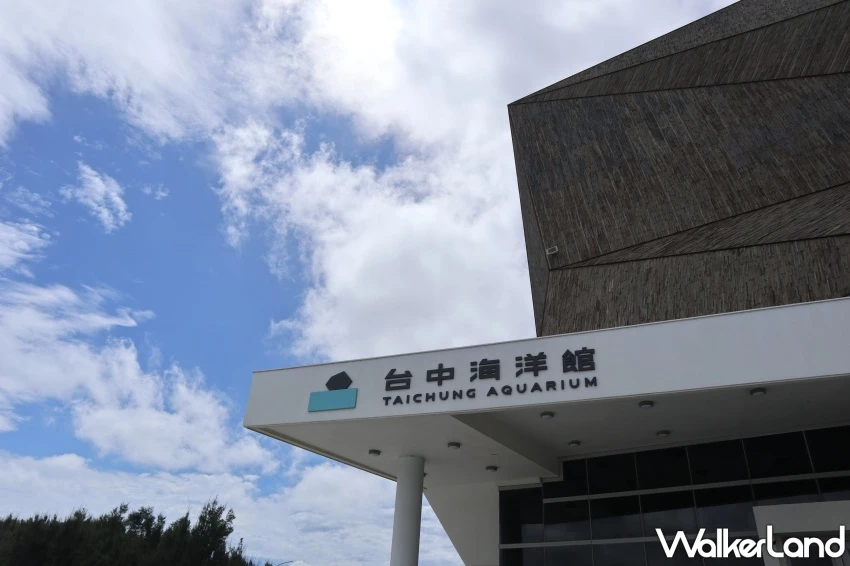 台中海洋館試營運！8大展區參觀路線公開，2小時沉浸式體驗海洋世界。