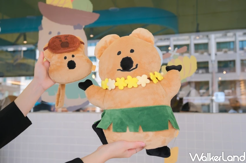 DINOTAENG爭鮮聯名！矮袋鼠DINOTAENG周邊小物8款，爭鮮8間DINOTAENG特色店衝打卡。