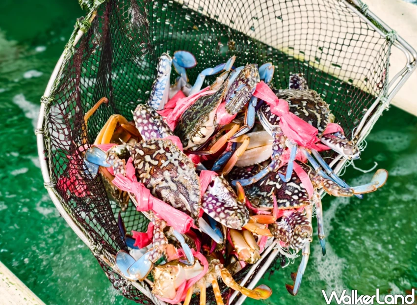 東港海鮮推薦！珍珍海鮮 活體海鮮現點現煮、免費包廂與停車場，內行人都吃這家。