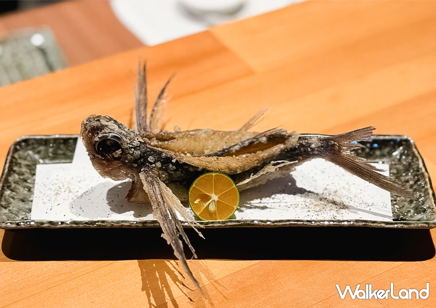 飛魚拉麵台灣也有！宜蘭蘇澳美食 飛屋拉麵 強勢回歸、沒訂位吃不到，菜單飛魚天婦羅必吃。