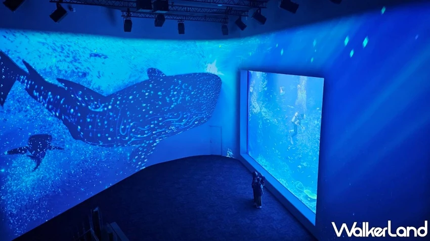 台中海洋館試營運！8大展區參觀路線公開，2小時沉浸式體驗海洋世界。