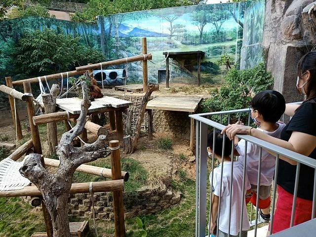 暑假兒童免費入園！新竹動物園周邊景點一日遊，親子出遊好吃又好玩 / 部落客「寶小銘」 提供