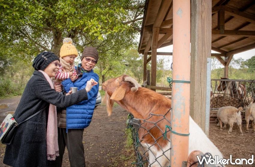 回憶殺來襲「六福村樂齡好朋友」專案開跑，60歲以上長者相約重溫青春記憶雙人700元玩一天。