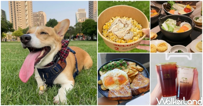 826國際狗狗日!4間美食國際狗狗日優惠,迷客夏帶狗狗折10元,貳樓免費寵物餐。 826國際狗狗日!4間美食國際狗狗日優惠,迷客夏帶狗狗折10元,貳樓免費寵物餐。