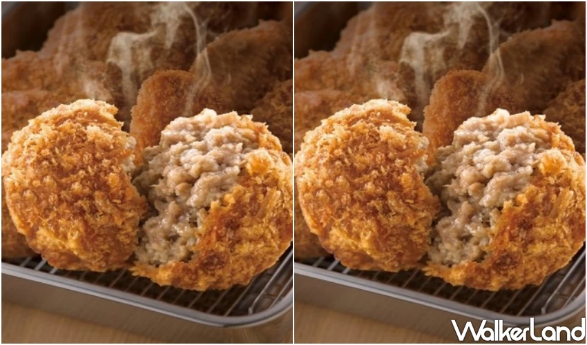 桃園最大日本美食市集！台北深法也快閃桃園，快到台茂吹冷氣逛街。