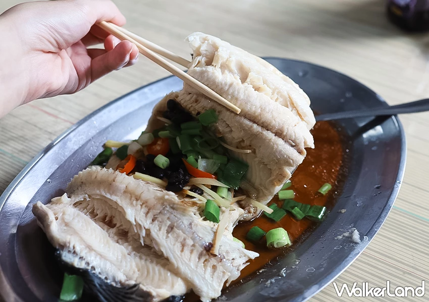 宜蘭釣魚餐廳推薦！苦花大王 現釣現吃的鮮魚料理、假日請先預約，新手也能上手。