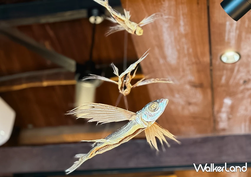 飛魚拉麵台灣也有!宜蘭蘇澳美食 飛屋拉麵 強勢回歸、沒訂位吃不到,菜單飛魚天婦羅必吃。 飛魚拉麵台灣也有!宜蘭蘇澳美食 飛屋拉麵 強勢回歸、沒訂位吃不到,菜單飛魚天婦羅必吃。