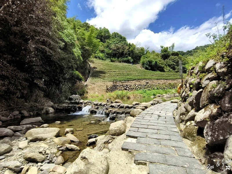 新北坪林區茶香一日遊，順遊坪林老街、坪林茶葉博物館。