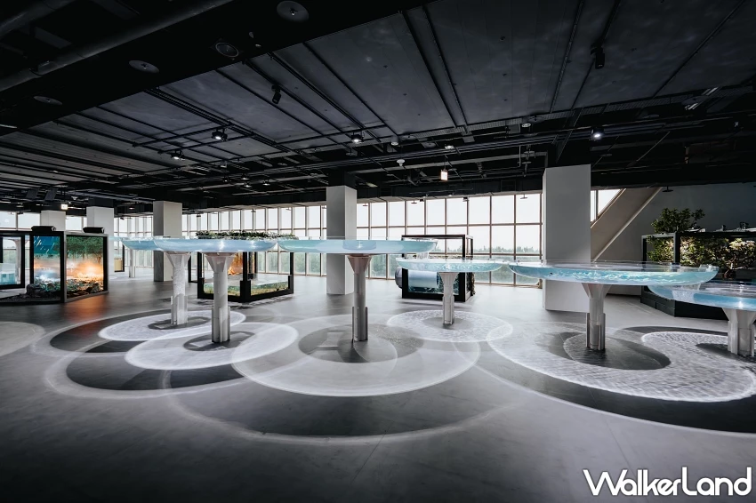 台中海洋館試營運攻略！線上預約制分流參觀，全票種8折優惠與飲品第二杯半價資訊總整理。