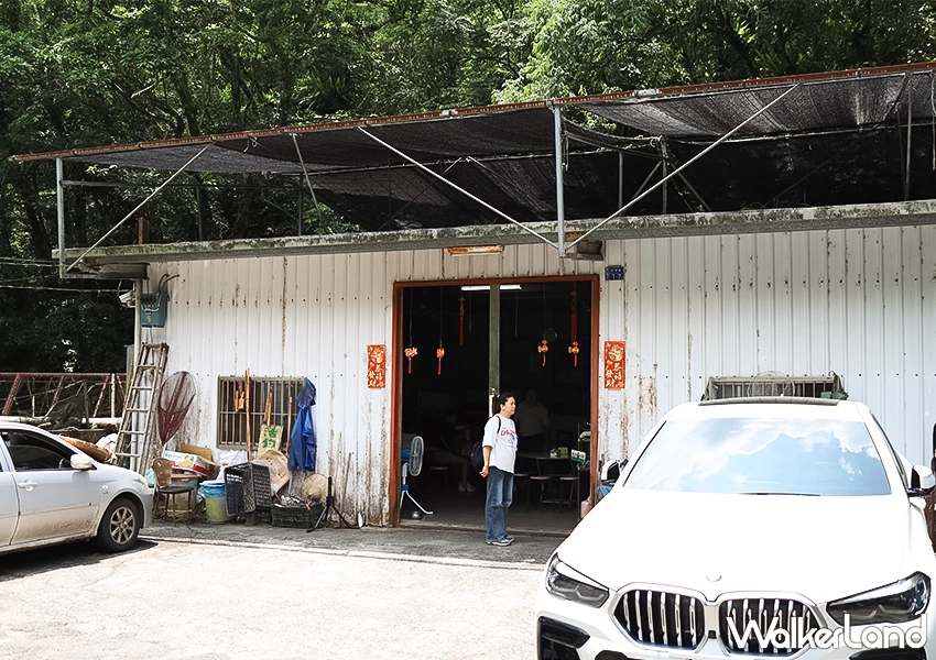 宜蘭釣魚餐廳推薦！苦花大王 現釣現吃的鮮魚料理、假日請先預約，新手也能上手。