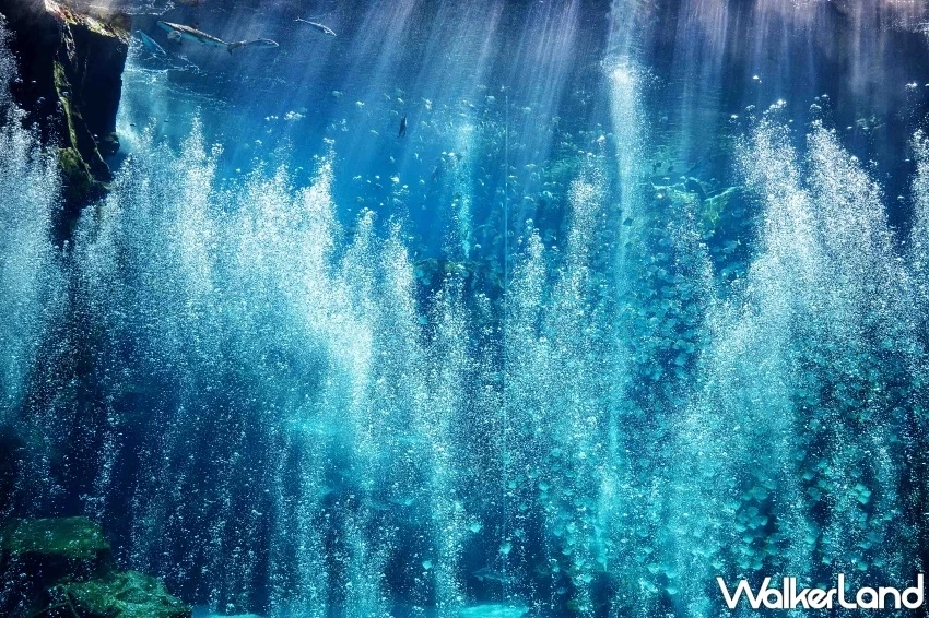 桃園高鐵周邊親子遊!Xpark、巧虎夢想樂園、台灣高鐵探索館,不開車到室內景點玩透透。 桃園高鐵周邊親子遊!Xpark、巧虎夢想樂園、台灣高鐵探索館,不開車到室內景點玩透透。