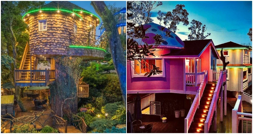 苗栗南庄一日美食、旅遊全攻略!來一趟說走就走的旅行就這樣玩。 苗栗南庄一日美食、旅遊全攻略!來一趟說走就走的旅行就這樣玩。