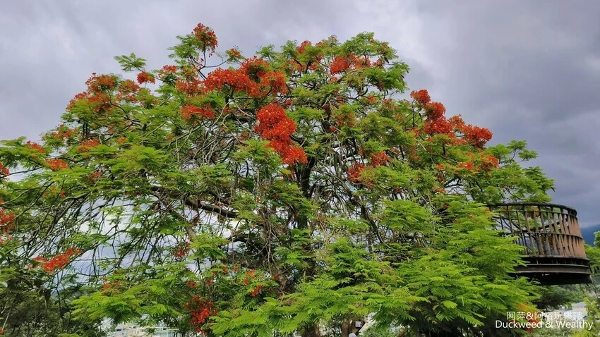 歐樂沃築夢城堡開幕!嘉義一日遊必踩點3大人氣景點、6間必吃在地小吃。 歐樂沃築夢城堡開幕!嘉義一日遊必踩點3大人氣景點、6間必吃在地小吃。