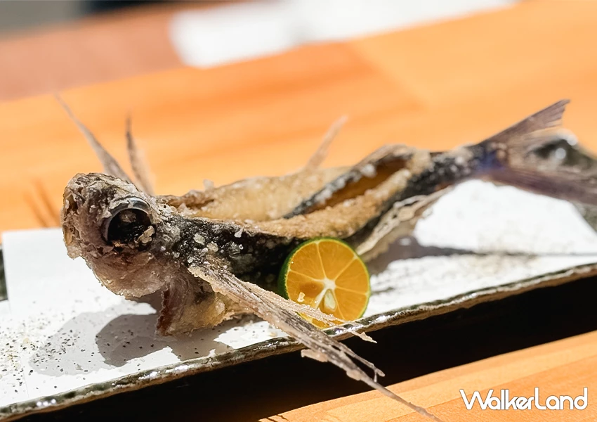 飛魚拉麵台灣也有！宜蘭蘇澳美食 飛屋拉麵 強勢回歸、沒訂位吃不到，菜單飛魚天婦羅必吃。