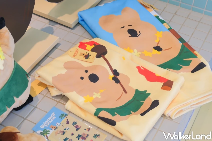 DINOTAENG爭鮮聯名！矮袋鼠DINOTAENG周邊小物8款，爭鮮8間DINOTAENG特色店衝打卡。