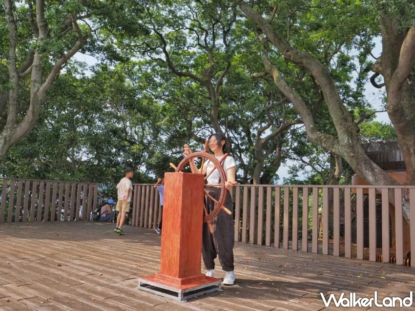 圓山「森林方舟」俯瞰台北夜景！2025大稻埕夏日節煙火壓軸最終場，無私角秘境大公開。