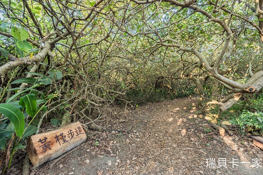 桃園珍珠海岸國際音樂節登場!演出卡司、交通資訊一次看,順遊桃園海線景點超好玩。 / 部落客「瑞貝卡一家」提供 桃園珍珠海岸國際音樂節登場!演出卡司、交通資訊一次看,順遊桃園海線景點超好玩。 / 部落客「瑞貝卡一家」提供