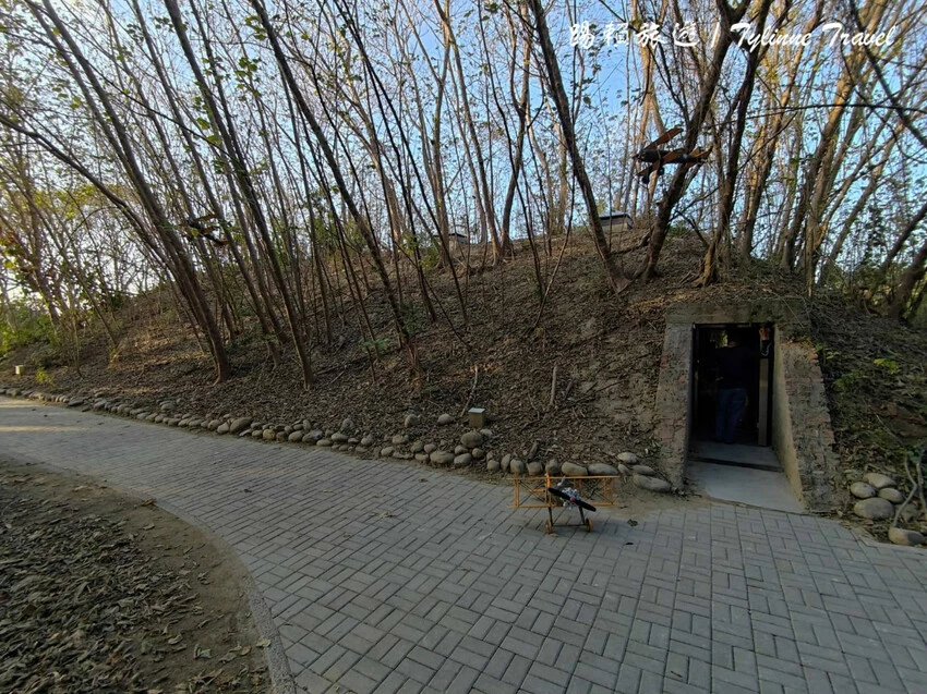 雲林虎尾一日遊！沉香森林、眷村園區、人氣小吃，不只是糖廠可以玩。