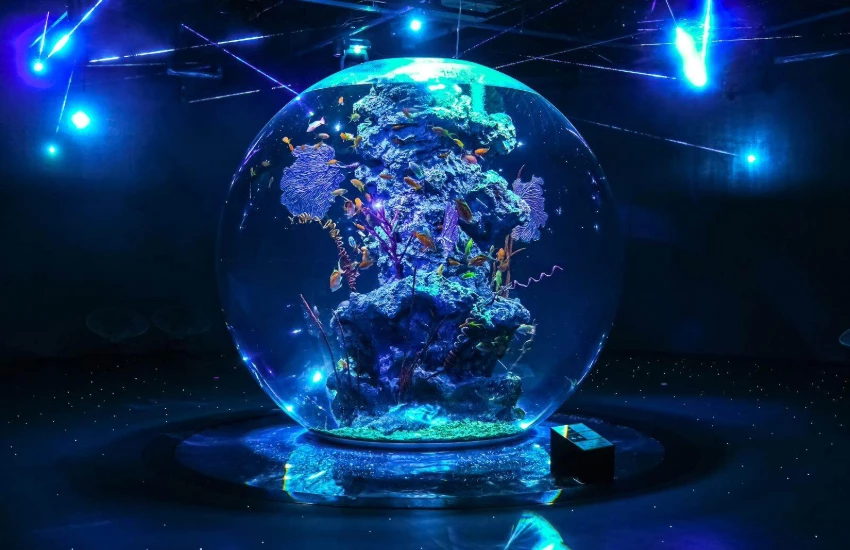 神戶átoa沉浸式藝術水族館絢爛煙火演出，還有可愛水獺造型甜點子組合。