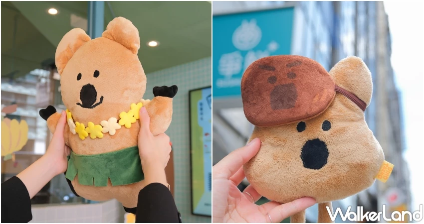 DINOTAENG爭鮮聯名！矮袋鼠DINOTAENG周邊小物8款，爭鮮8間DINOTAENG特色店衝打卡。