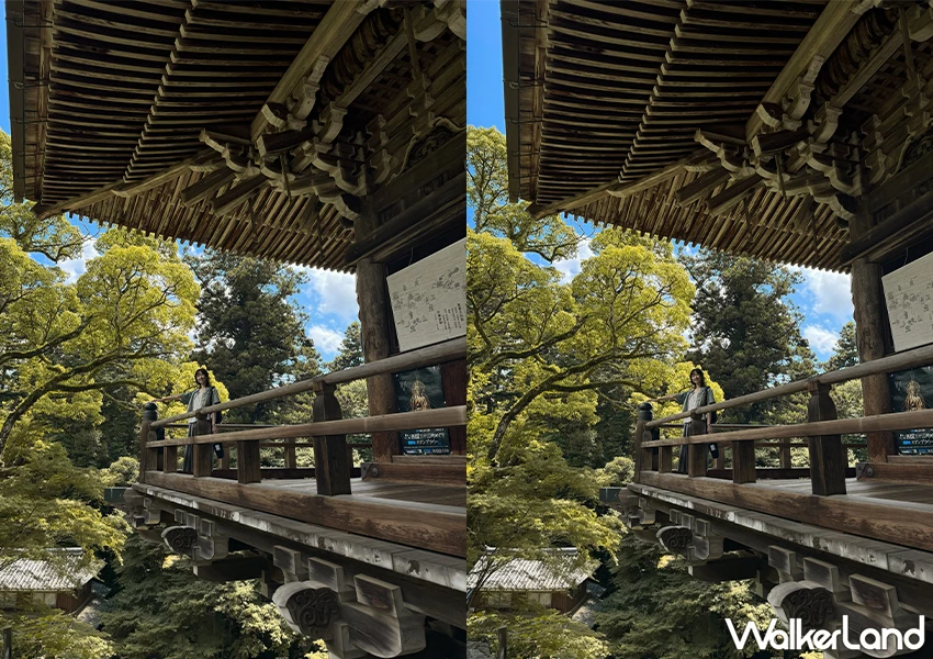 姬路一日遊推薦！書寫山圓教寺 日本秋季賞楓景點，階梯下復古茶屋必吃。