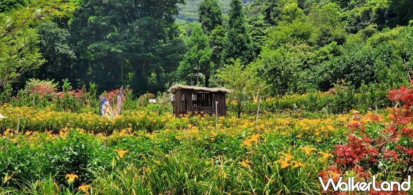 晶泉丰旅推出「深秋、野趣拾光」住房專案！深入北投與礁溪在地秘境，體驗從產地到餐桌的農事實作與超萌動物療癒行程。