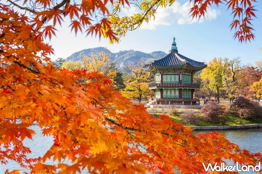 2025秋冬旅遊攻略就看這！易遊網「暢秋旅遊節」線上旅展，9元eSIM、99元饗食天堂餐券、999元日韓機票。