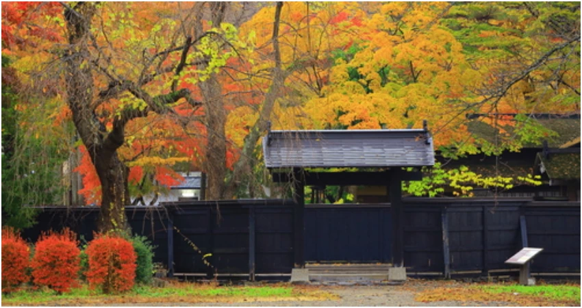 不管幾度,台灣虎航帶你酷玩秋田 不管幾度,台灣虎航帶你酷玩秋田